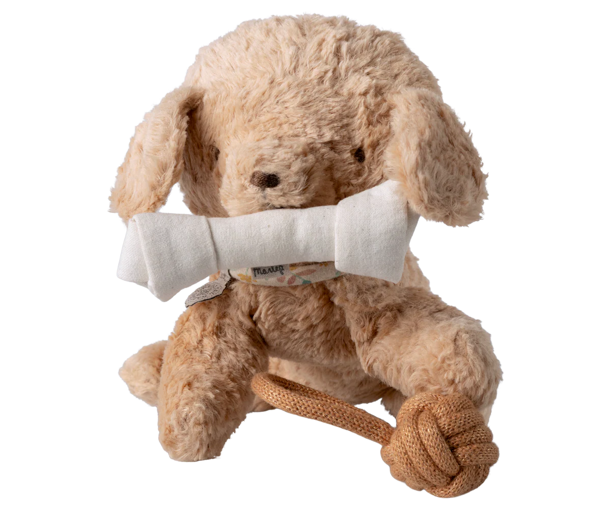 Pet supply, Toys - Image 4
