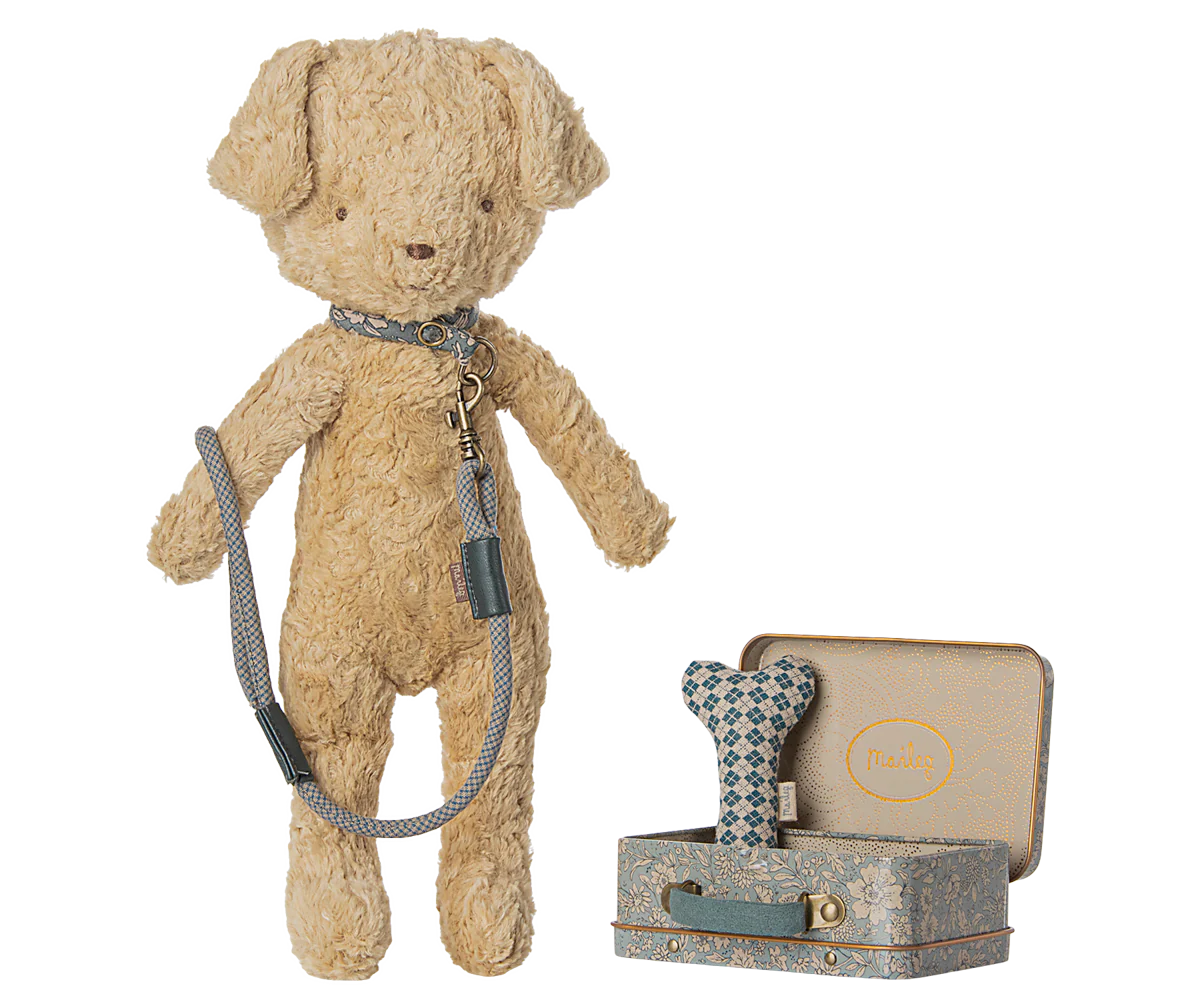 Dog supply, Accessories - Blue - Image 5