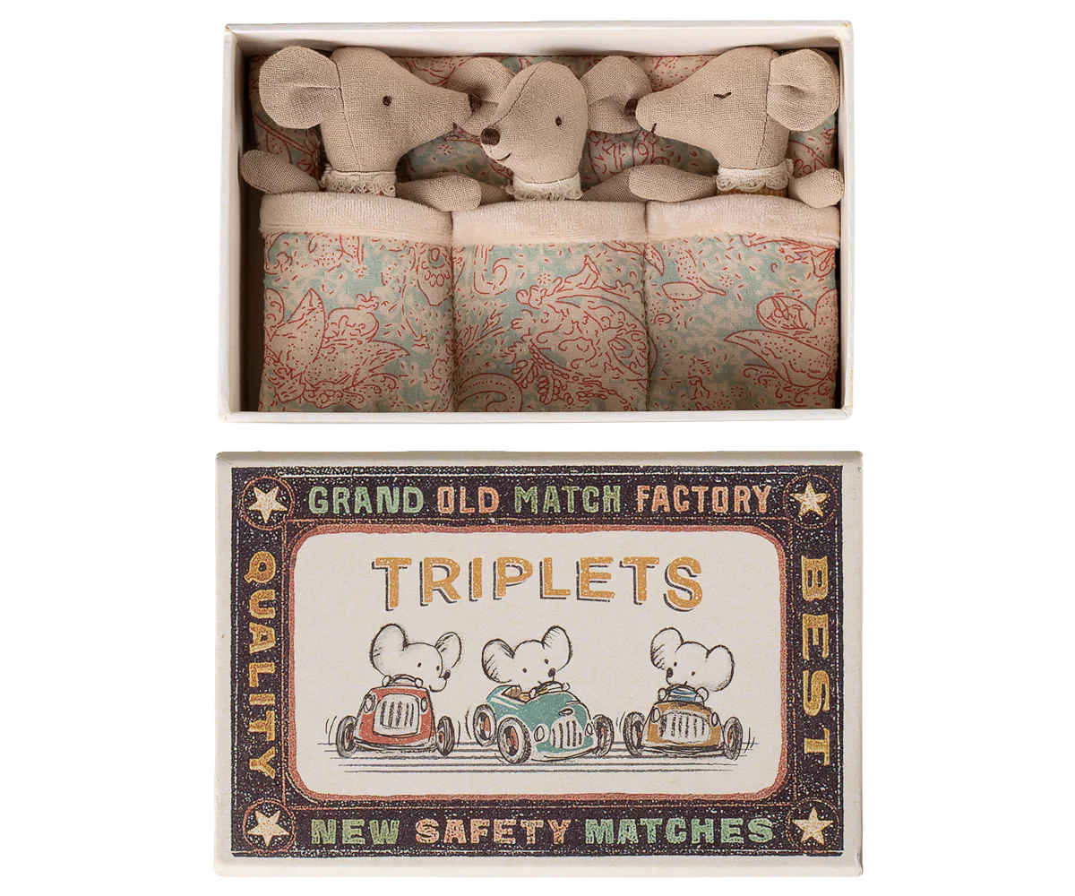 Triplets, Baby mice in matchbox - Image 3
